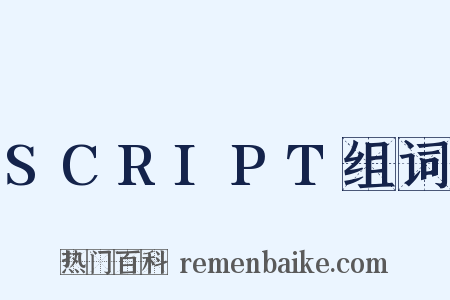 SCRIPT组词是什么意思的图片